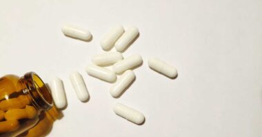 Staying Active, Staying Healthy: How Home Nursing Contributes to the Fitness of Patients in Home Care 5 Benefits Of Beta-alanine Supplements In Enhancing Buffering During High-intensity Activities