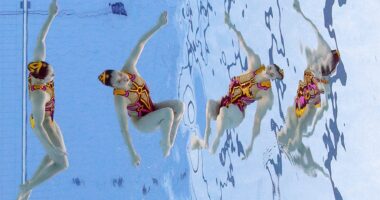Gym Business Startup – Financial Advice from Experts to Ensure Success Unleashing the Aquatic Artistry: Exploring the Different Swimming Styles