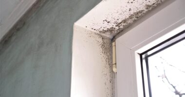 What Steps Can You Take Today to Advance Your Career as a Fitness Instructor? Breathing Clean: The Impact of Mold on Air Quality in Home Fitness Spaces