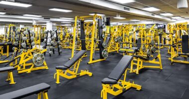 The Best Dental Supplements for Children vs. Adults How to Create a Legally Compliant Gym Franchise System